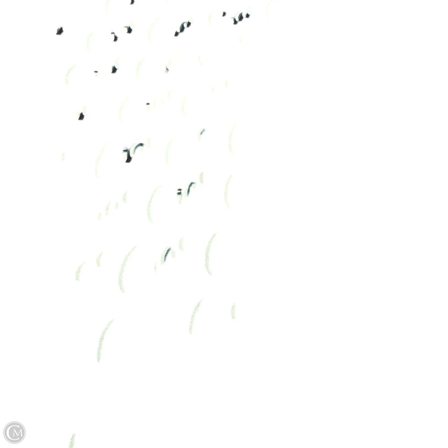 Pants Other By Anthropologie In Green, Size: 10