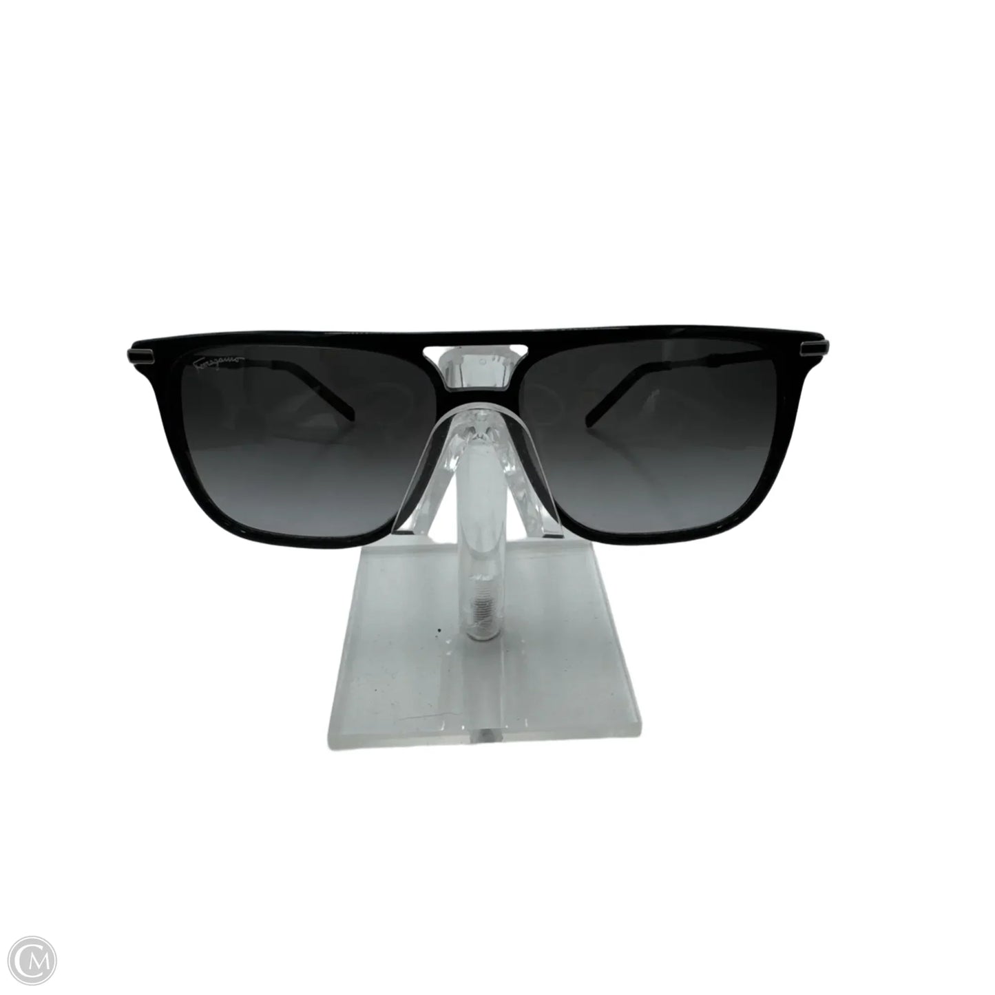 Sunglasses By Salvatore Ferragamo