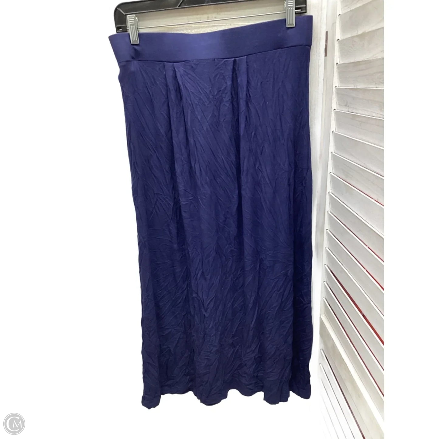 Skirt Maxi By Dana Buchman In Blue, Size: M