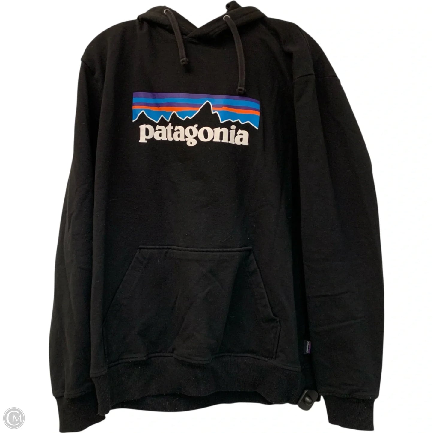 Sweatshirt Hoodie By Patagonia In Black, Size: L