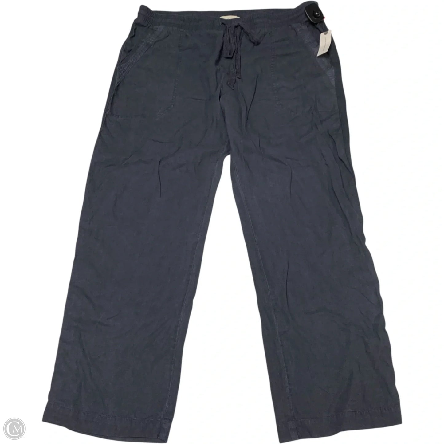 Pants Other By Cloth & Stone In Grey, Size: L