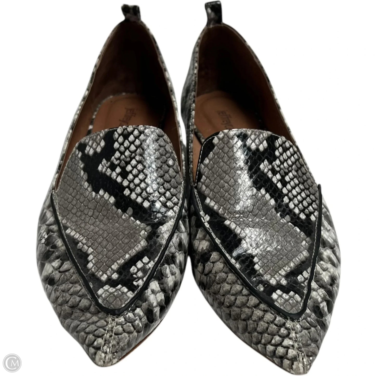 Shoes Heels Block By Jeffery Campbell In Snakeskin Print, Size: 8