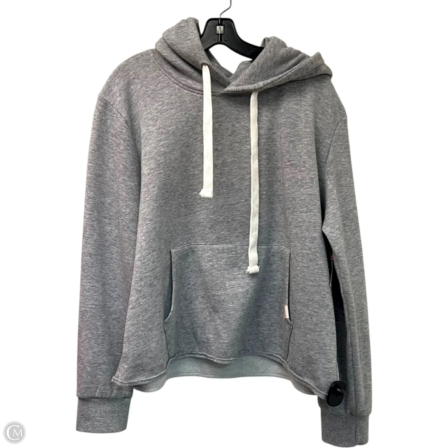 Sweatshirt Hoodie By Reflex In Grey, Size: 3x