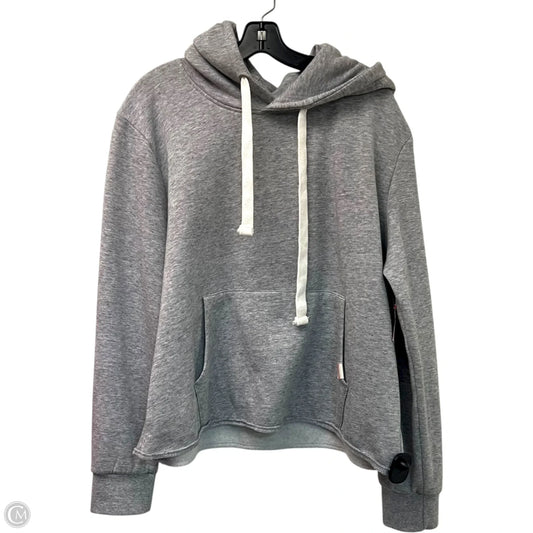 Sweatshirt Hoodie By Reflex In Grey, Size: 3x