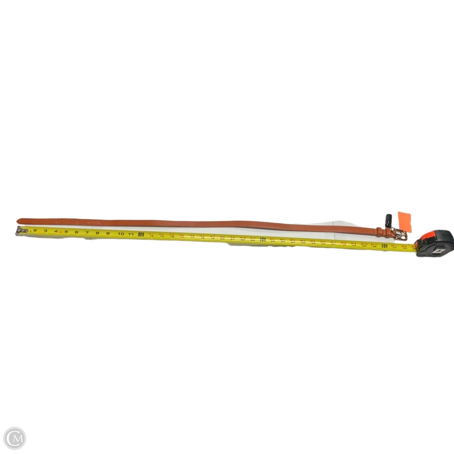 Belt By Anthropologie