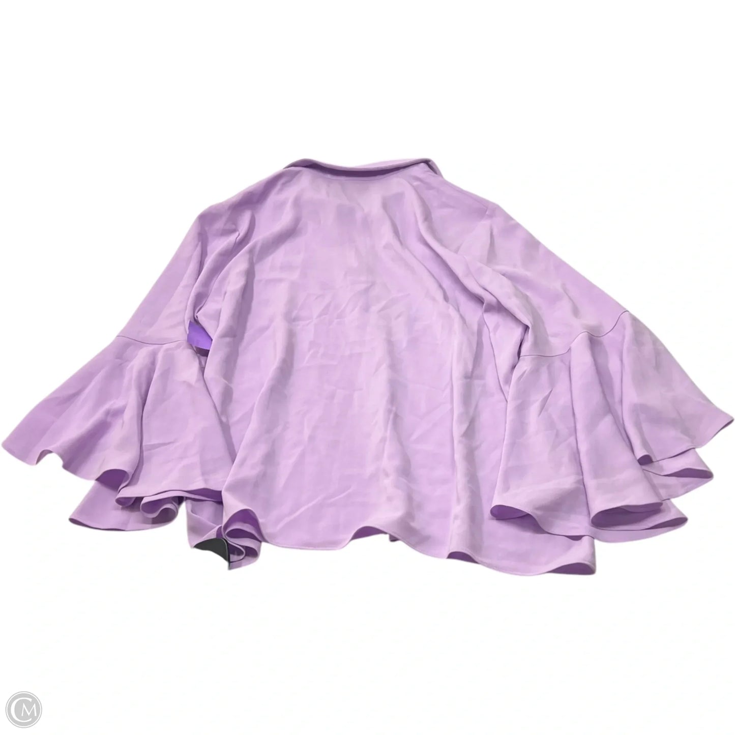 Blouse Long Sleeve By Tuckernuck In Purple, Size: 1x
