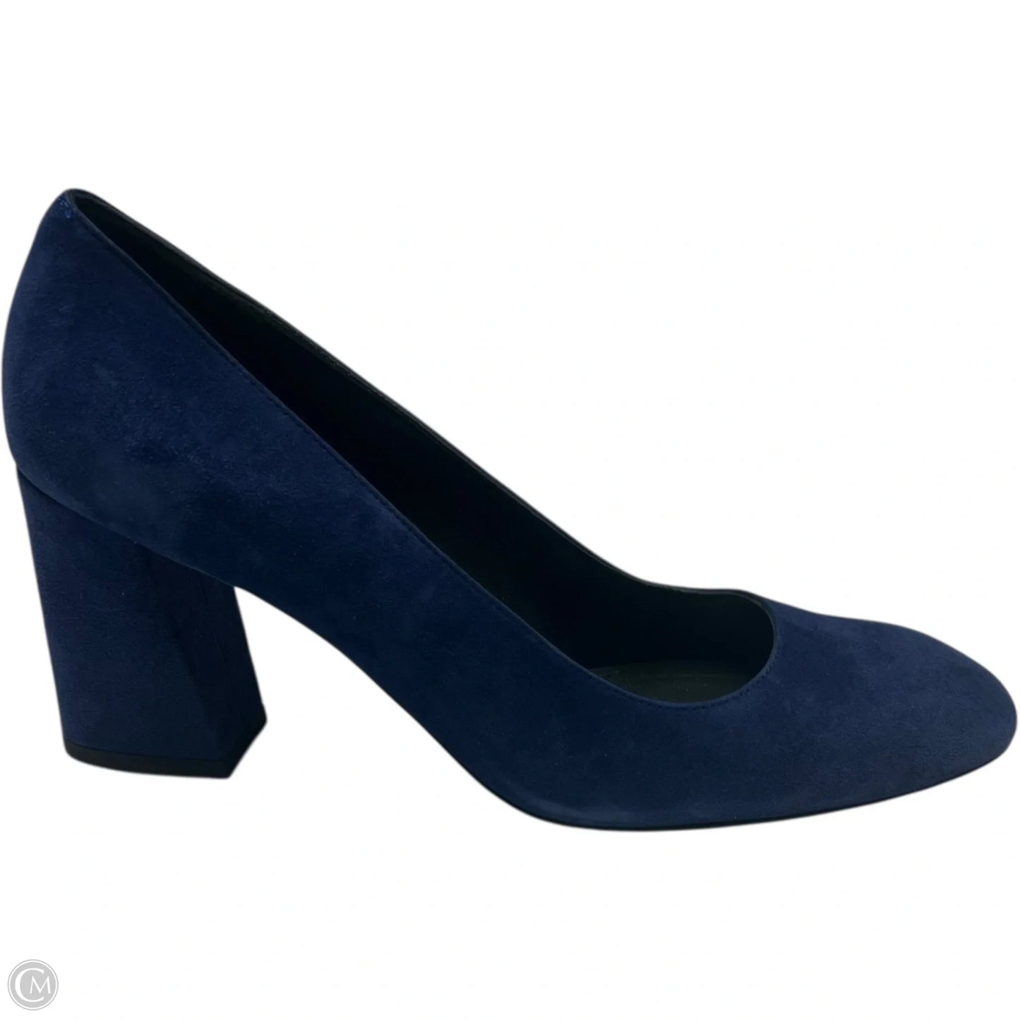 Shoes Designer By Stuart Weitzman In Blue, Size: 8.5