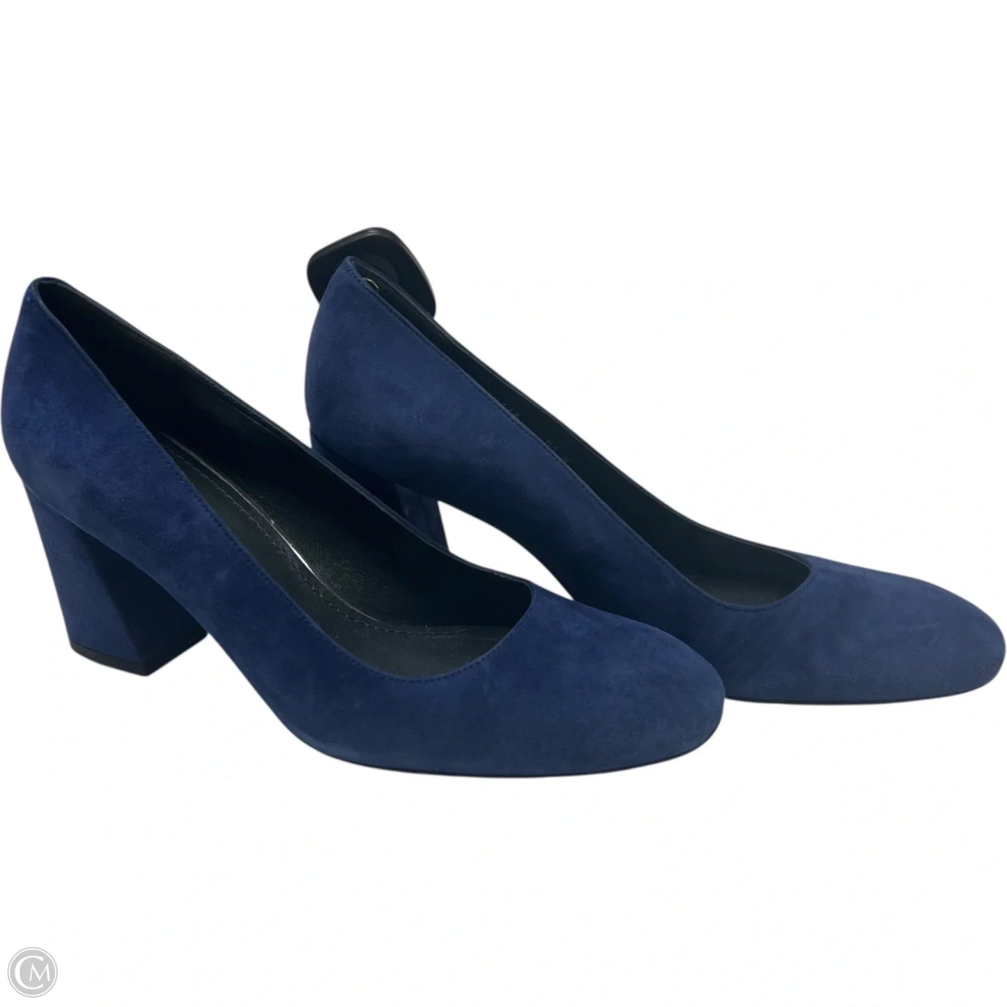 Shoes Designer By Stuart Weitzman In Blue, Size: 8.5