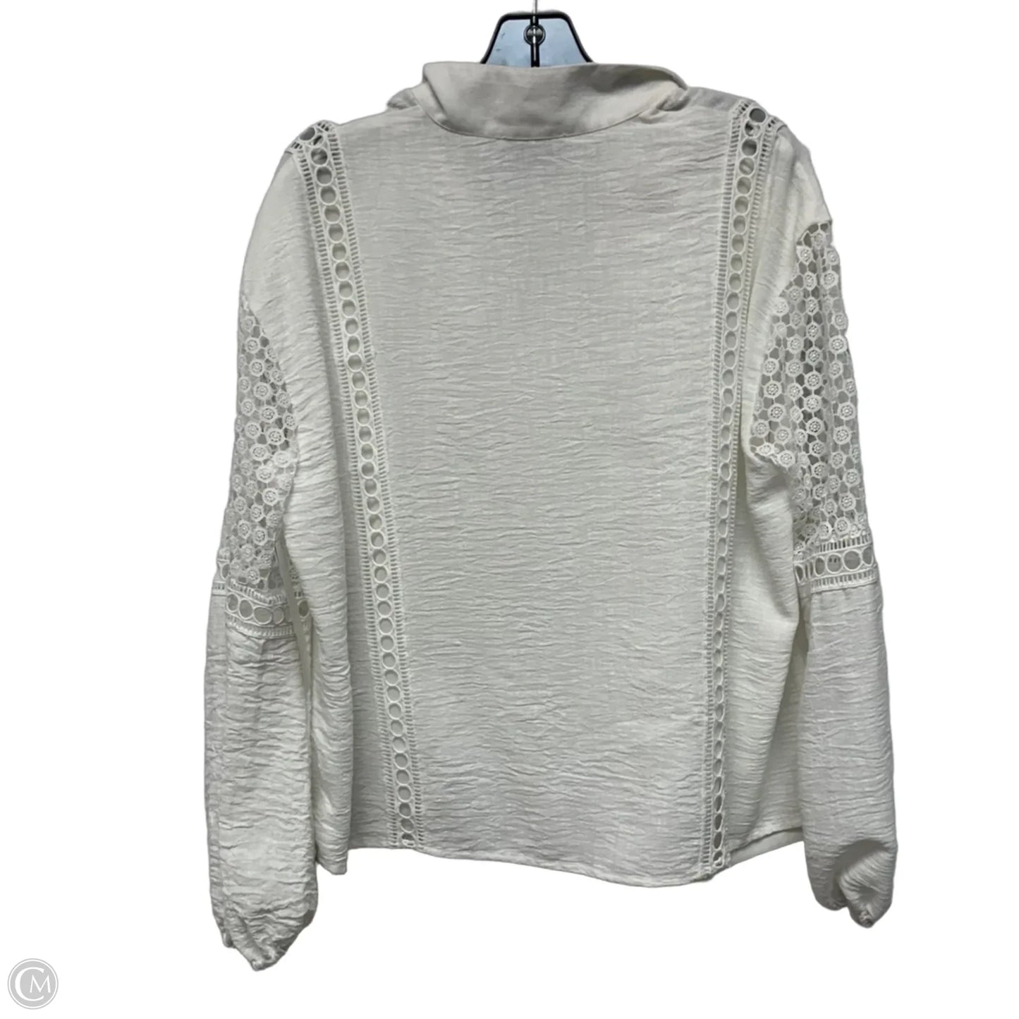 Top Long Sleeve Designer By Tuckernuck In Cream, Size: L