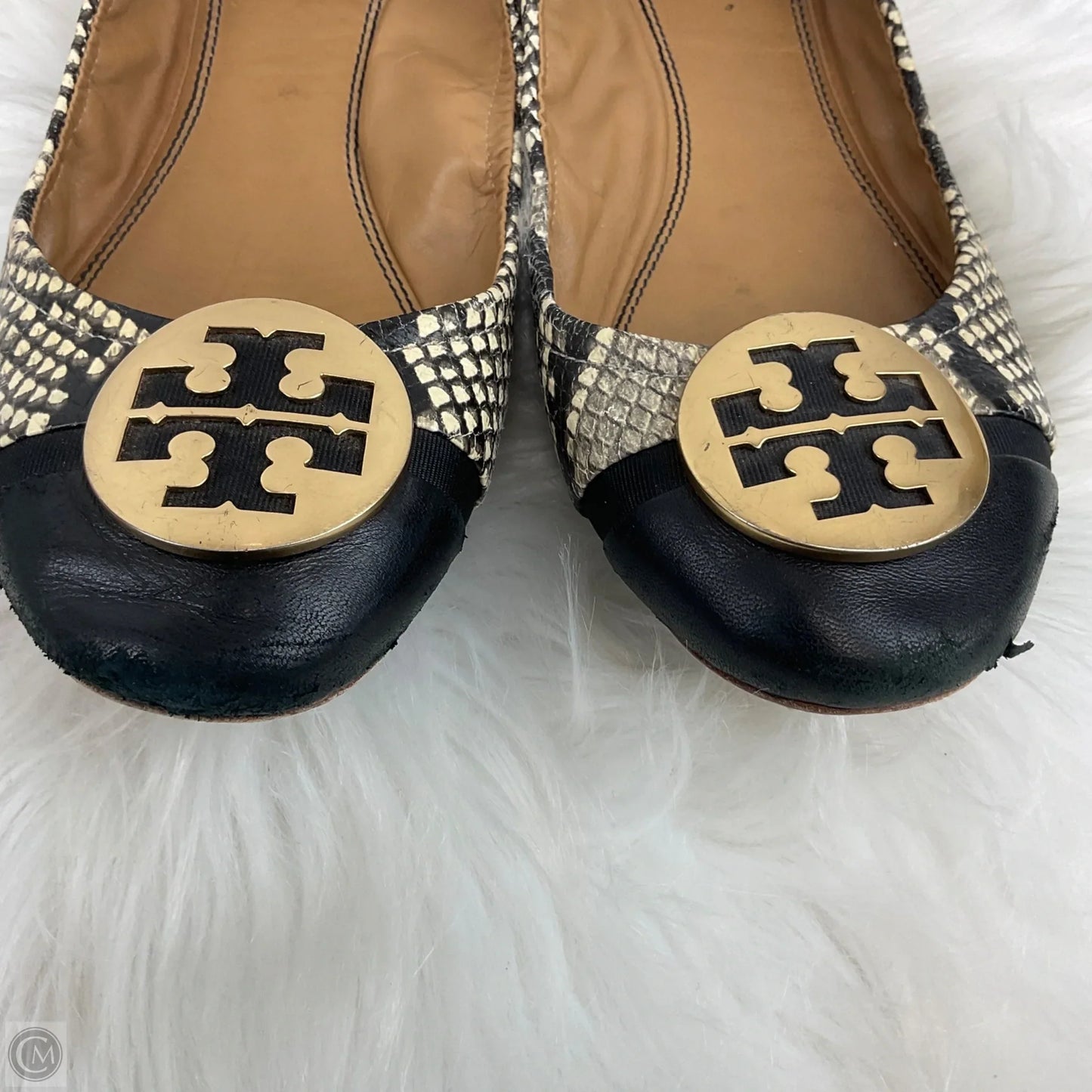 Shoes Designer By Tory Burch In Snakeskin Print, Size: 9