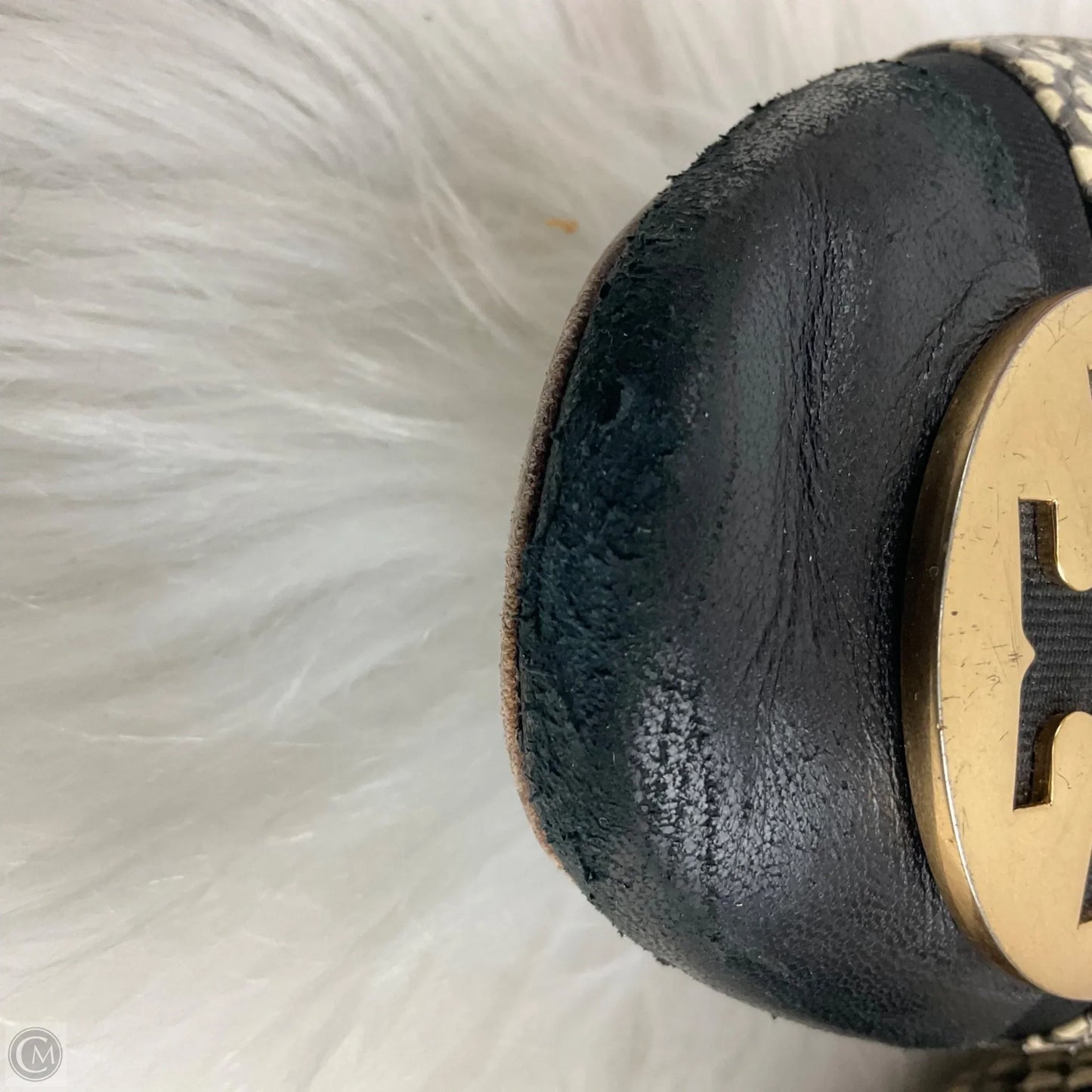 Shoes Designer By Tory Burch In Snakeskin Print, Size: 9