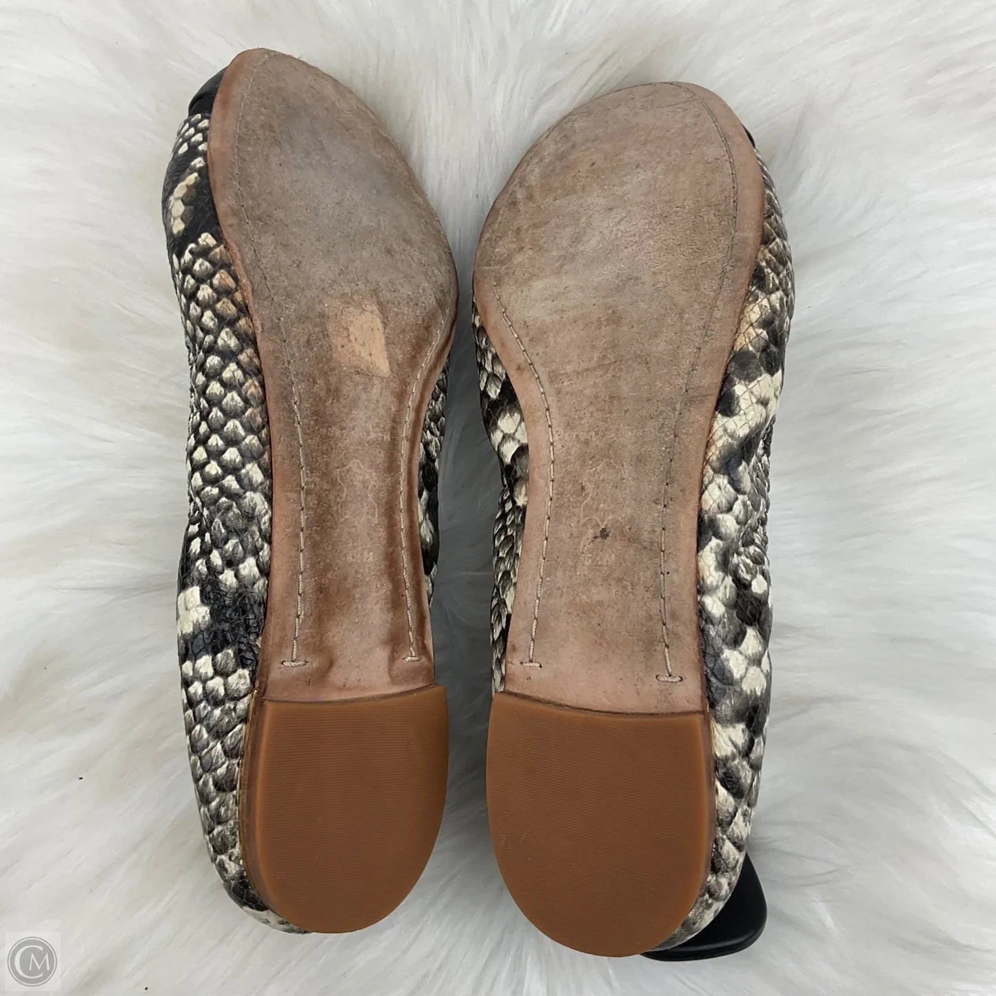 Shoes Designer By Tory Burch In Snakeskin Print, Size: 8.5