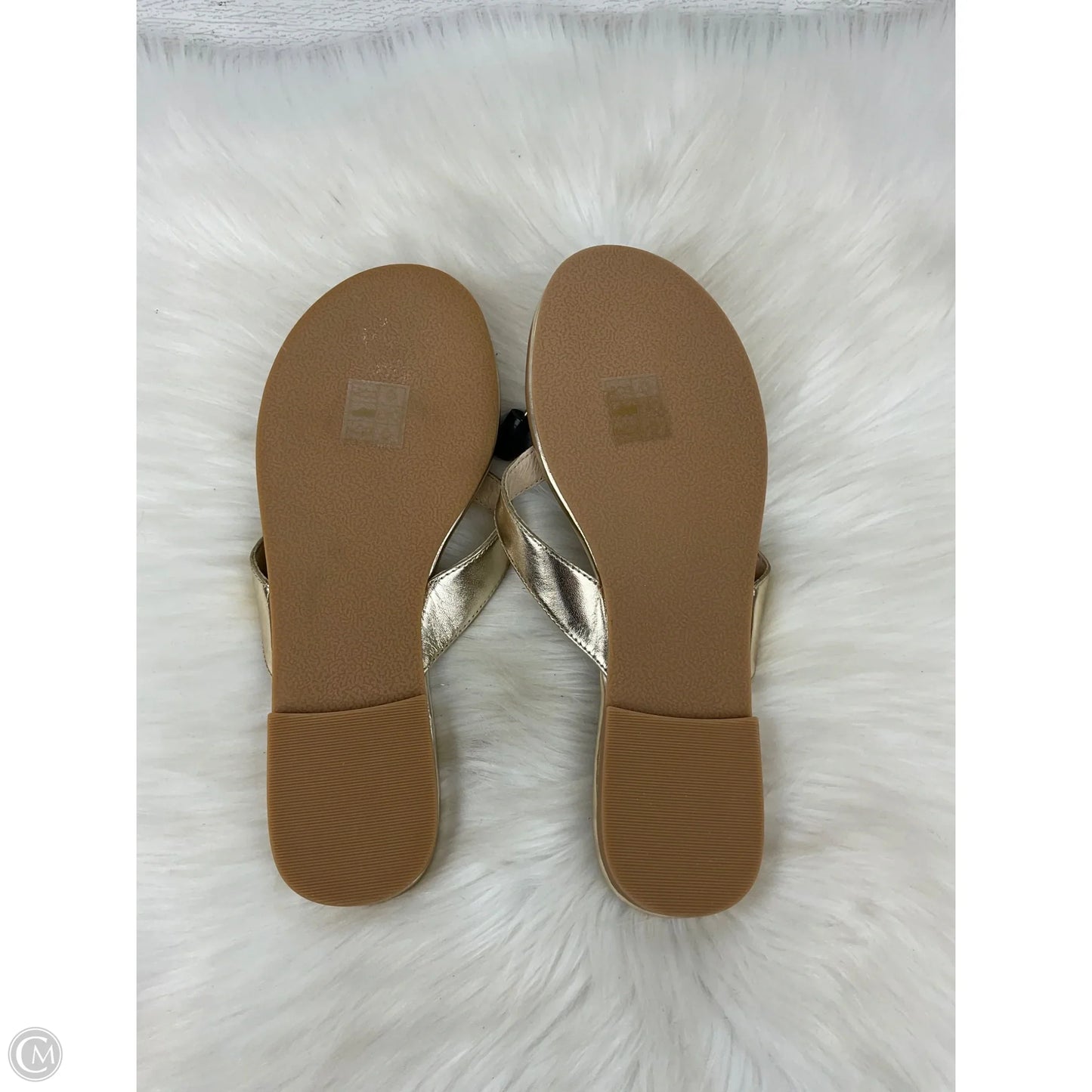 Sandals Flip Flops By Jack Rogers In Gold, Size: 8.5