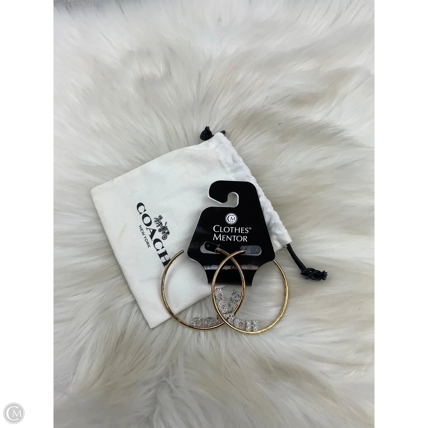 Earrings Designer By Coach