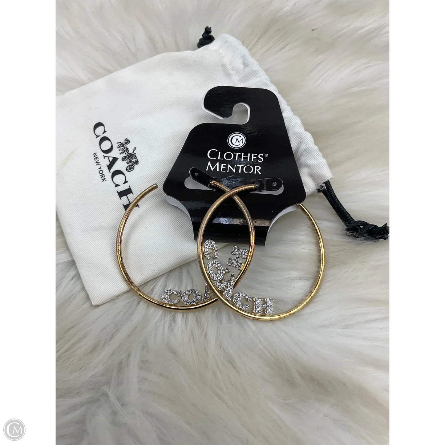 Earrings Designer By Coach