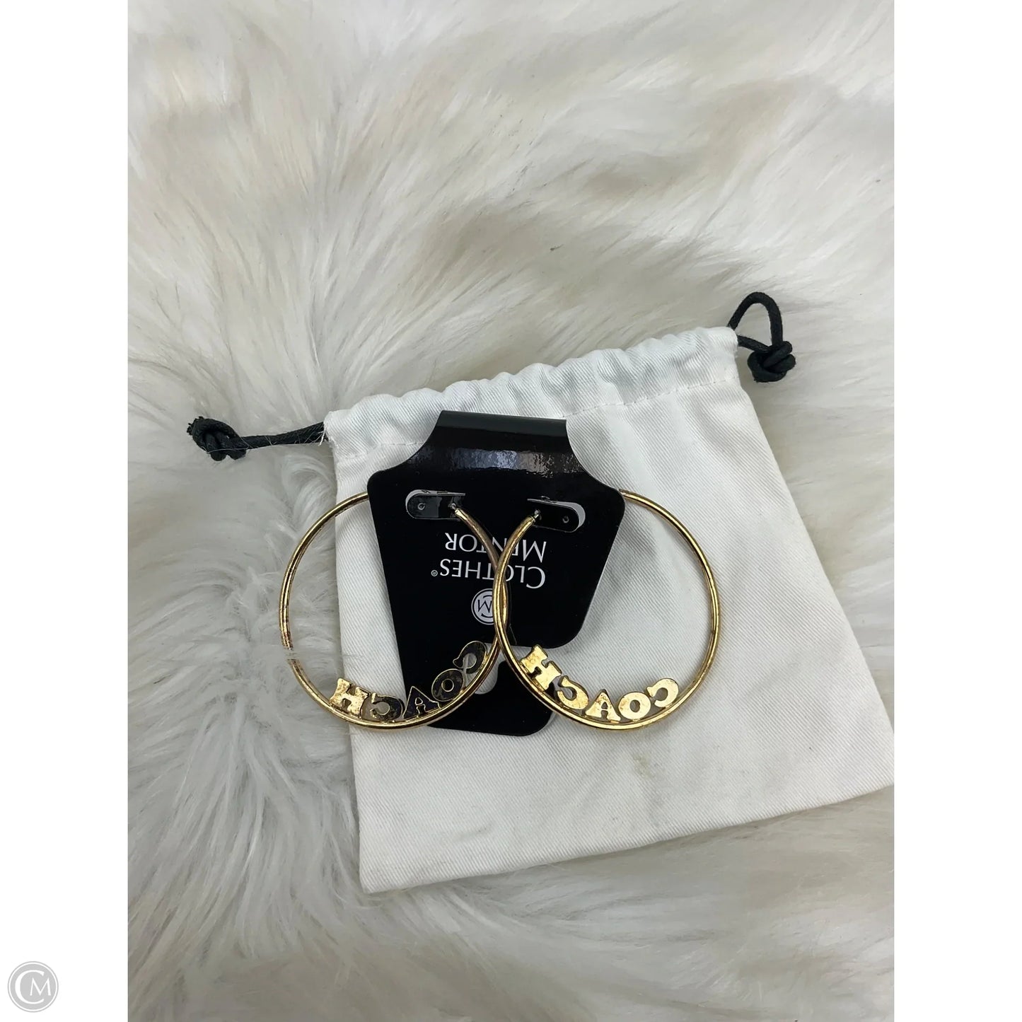 Earrings Designer By Coach