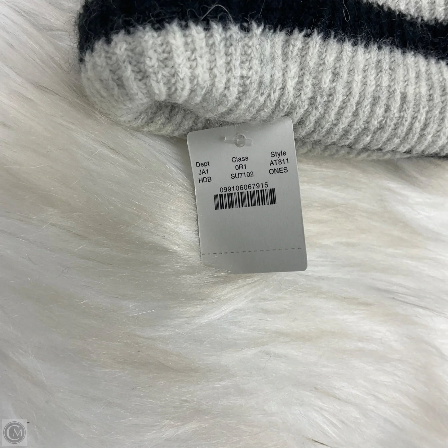 Hat Beanie By J. Crew