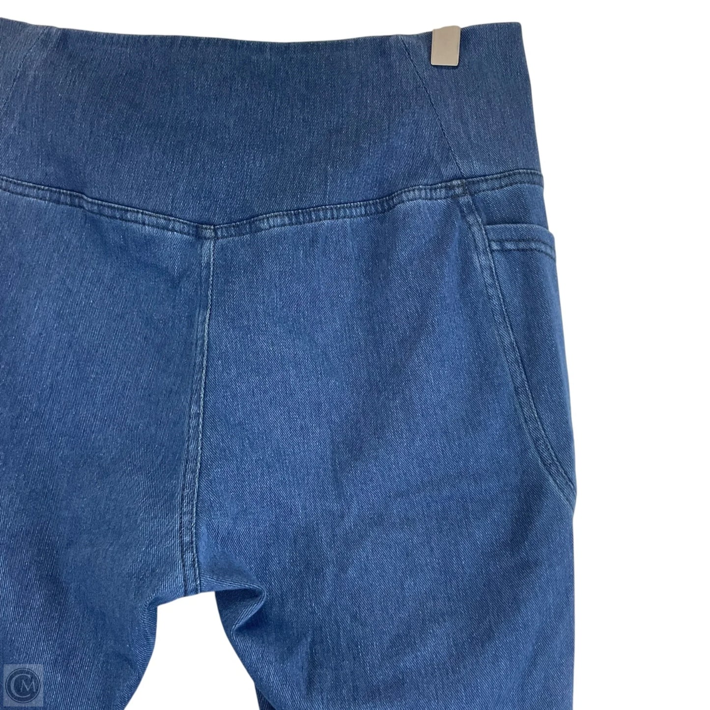 Pants Leggings By Clothes Mentor In Blue, Size: L