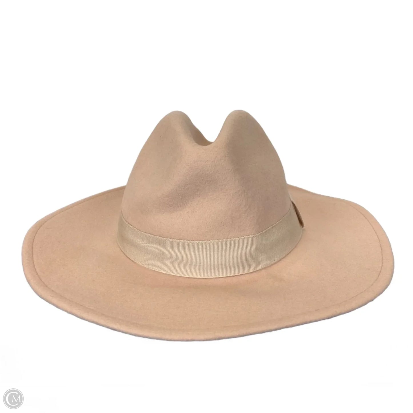 Hat Fedora By Madewell
