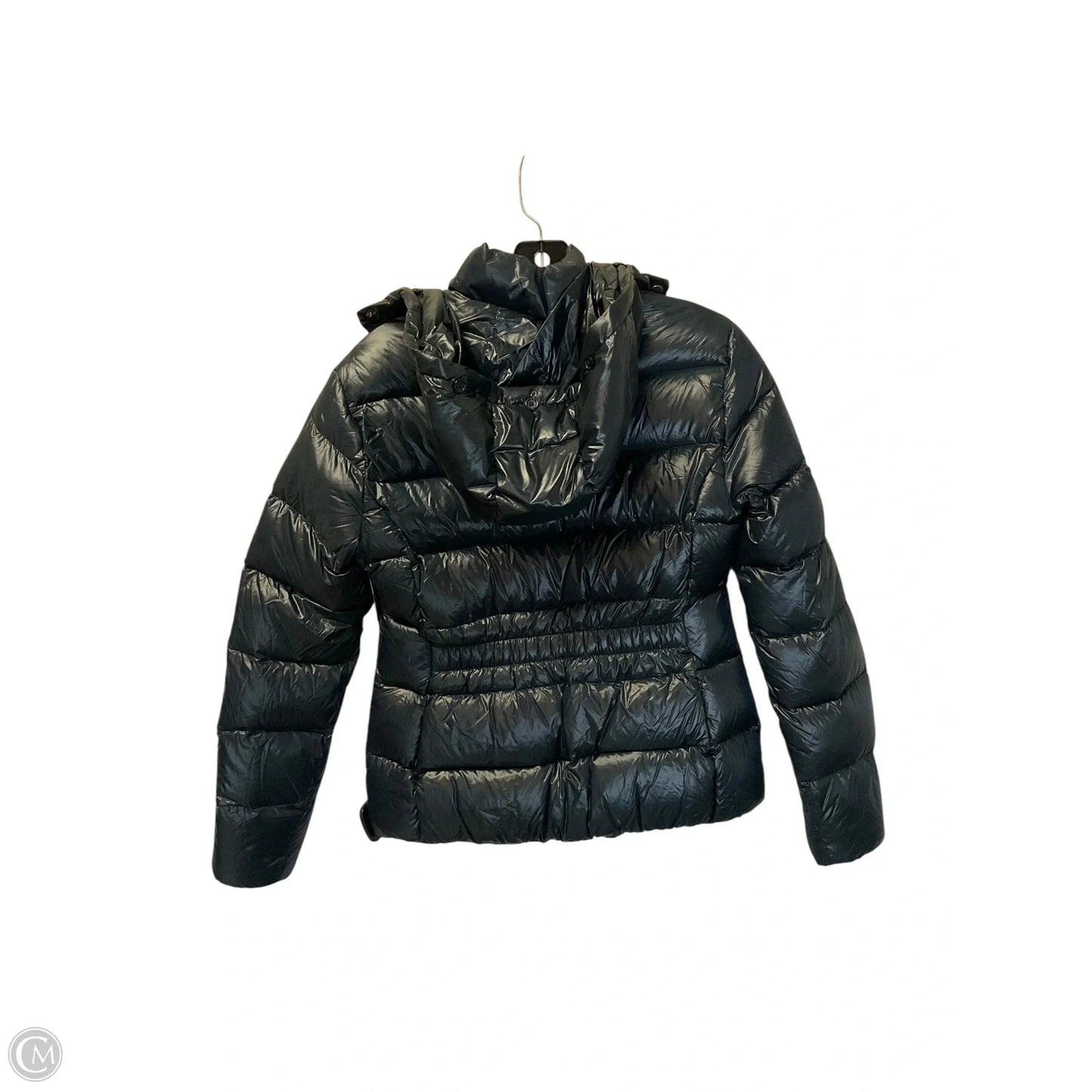 Jacket Puffer & Quilted By Zara In Navy, Size: M