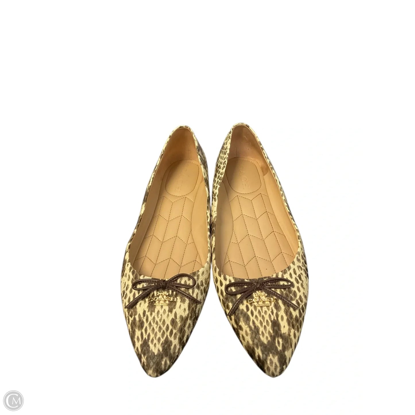 Shoes Designer By Coach In Animal Print, Size: 8.5