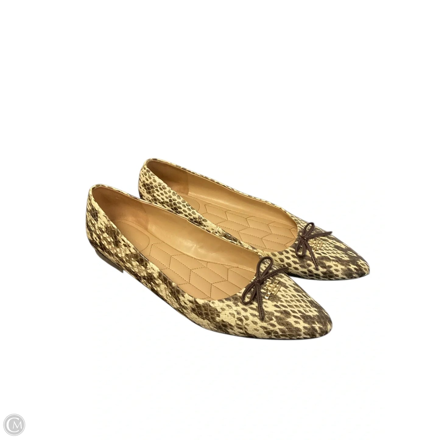 Shoes Designer By Coach In Animal Print, Size: 8.5