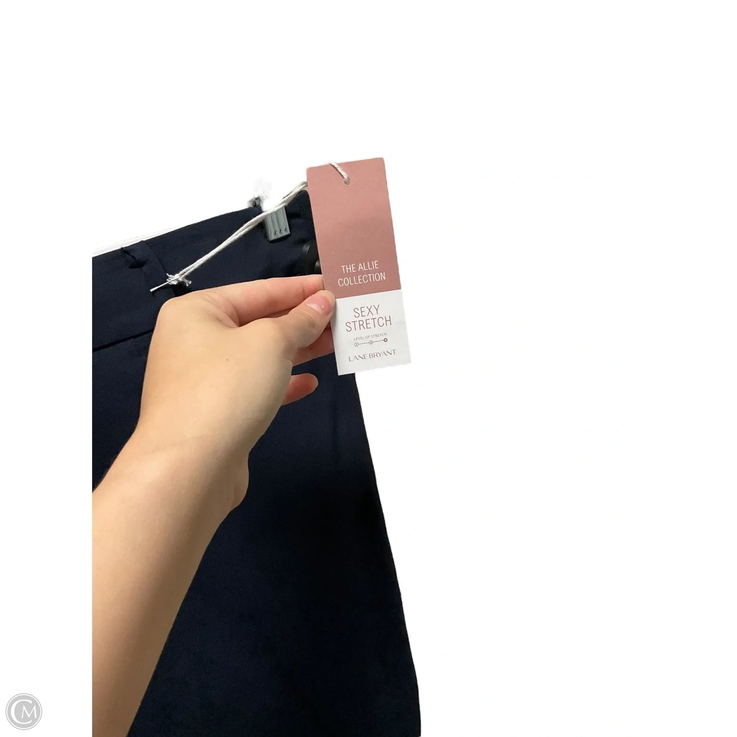 Pants Dress By Lane Bryant In Blue, Size: 28