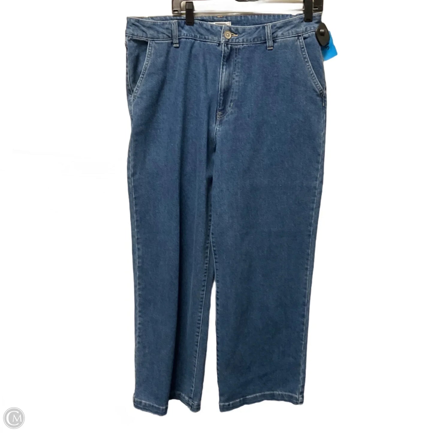 Jeans Wide Leg By Rachel Zoe In Blue Denim, Size: 14