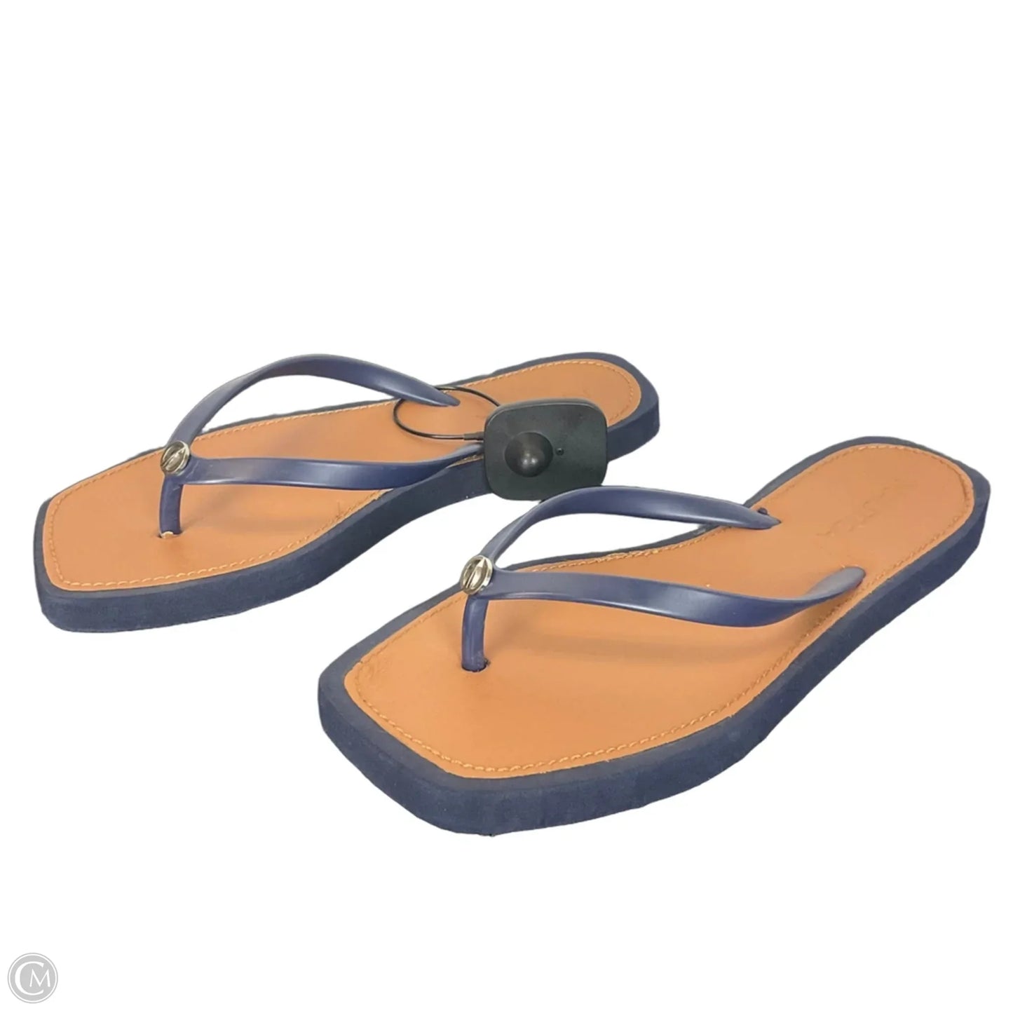 Sandals Flip Flops By Nautica In Blue, Size: 6