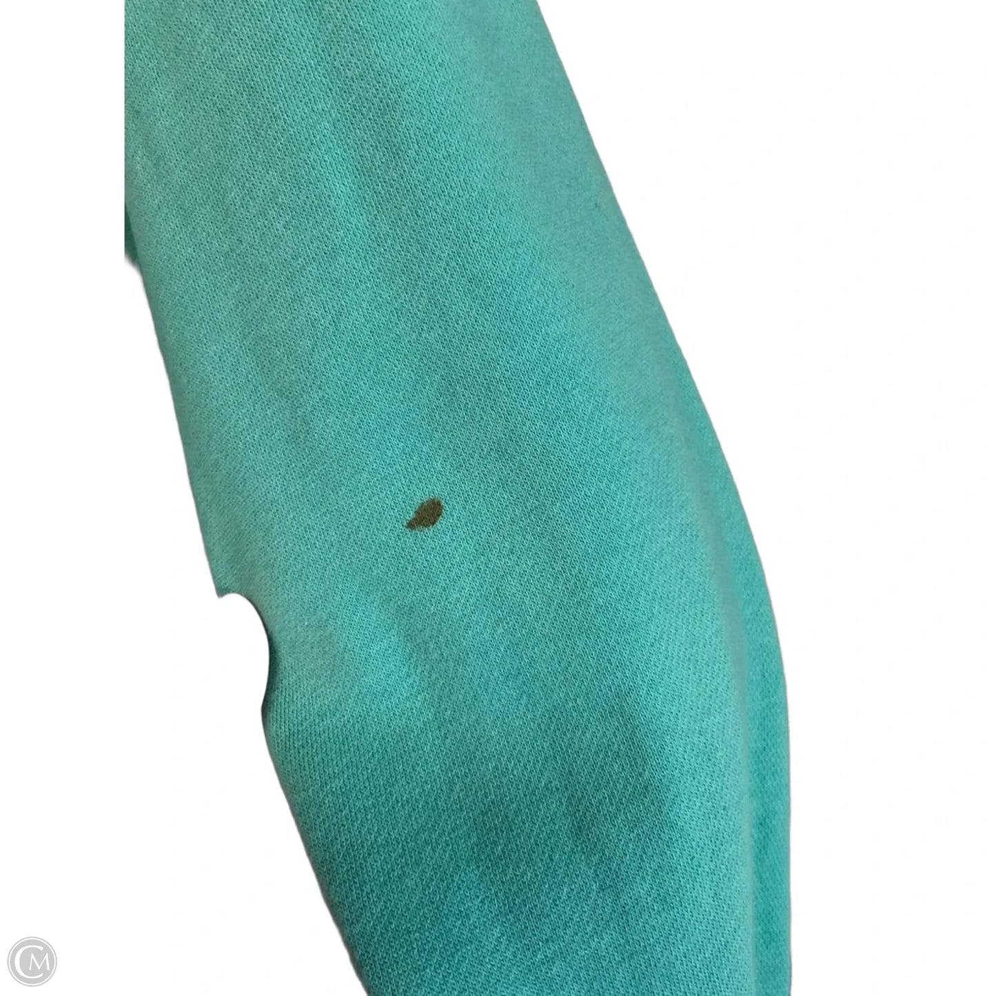 Sweatshirt Hoodie By Nike Apparel In Teal, Size: S