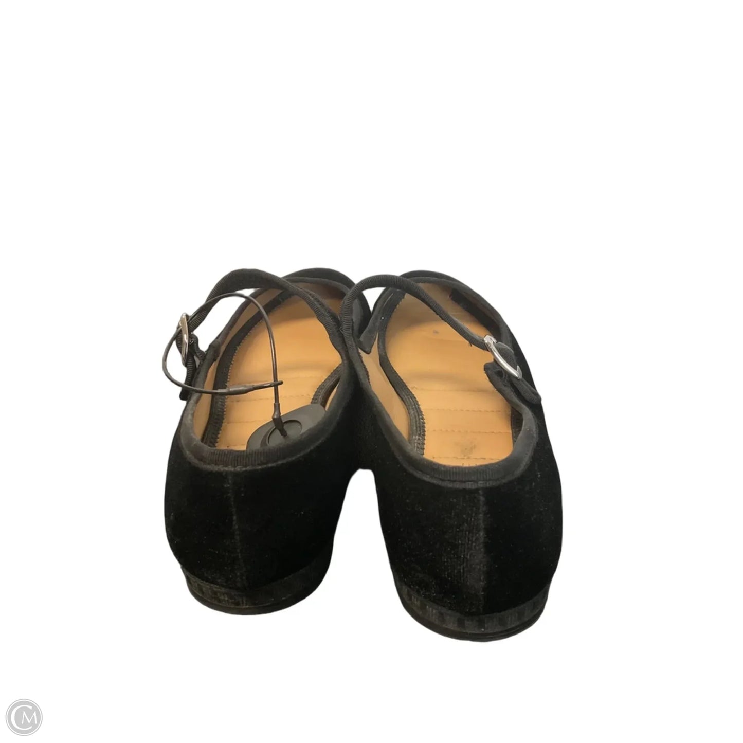 Shoes Flats By Rachel Zoe In Black, Size: 9.5