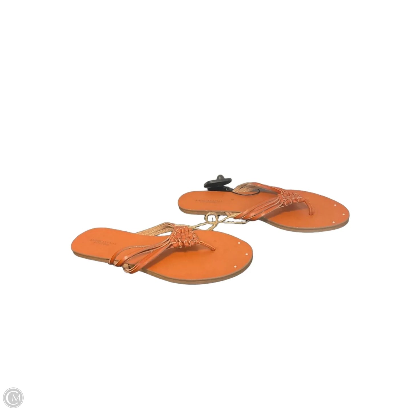 Sandals Flip Flops By American Eagle In Brown, Size: 8