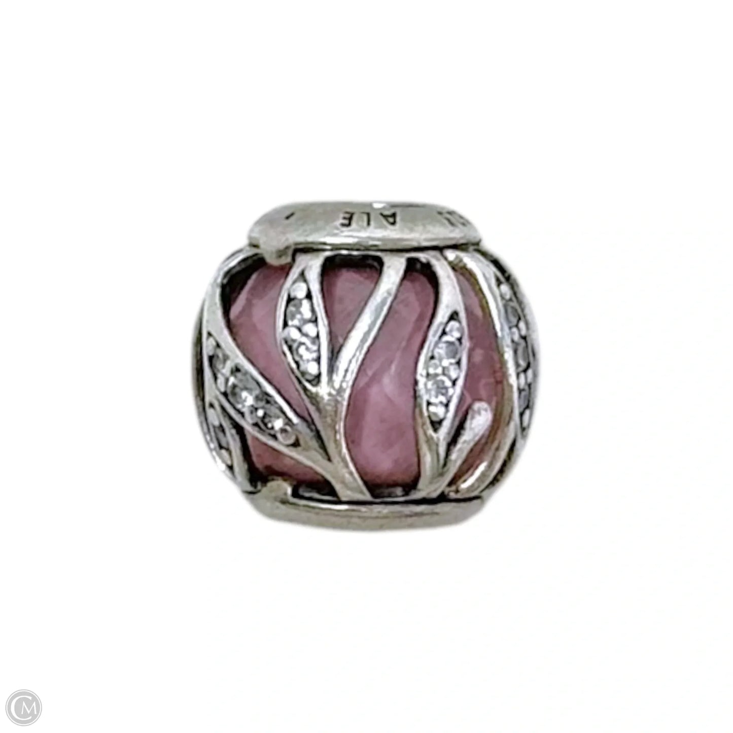 Nature’s Radiance CZ & Sterling Silver Bracelet Charm By Pandora