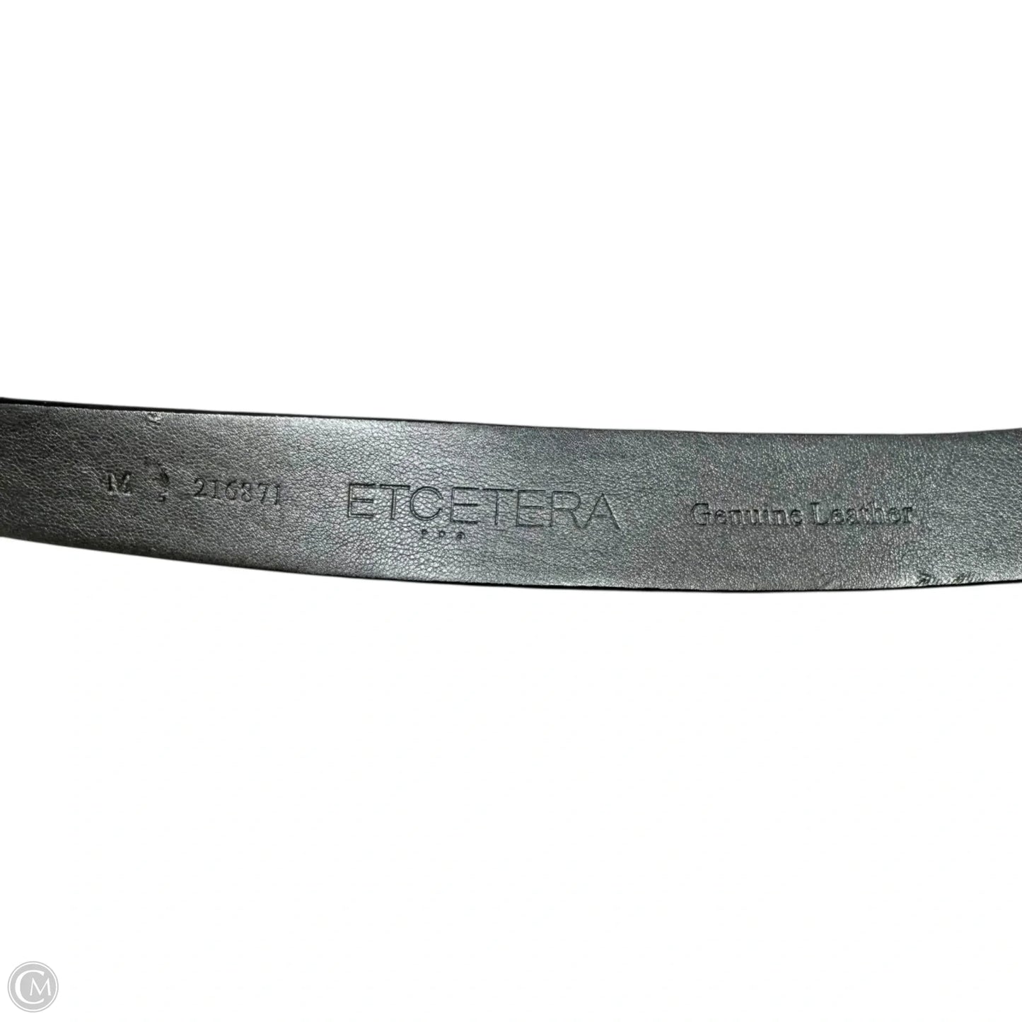 Snake Print Leather Belt By Etcetra, Size: Medium
