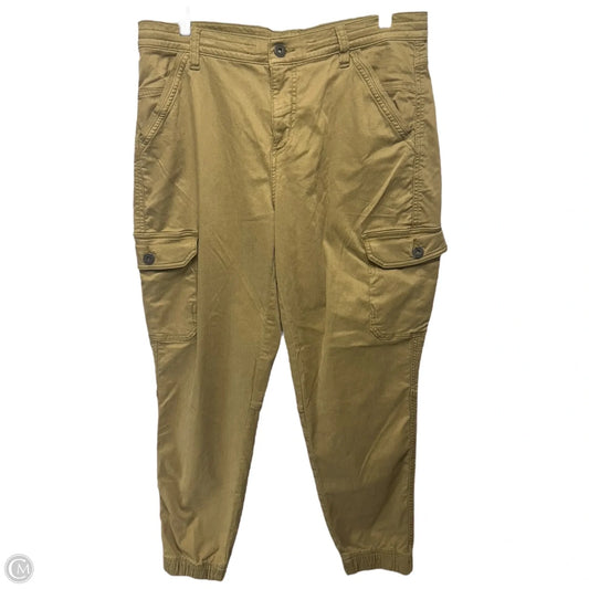 Pants Cargo & Utility By Kuhl In Green, Size: 10