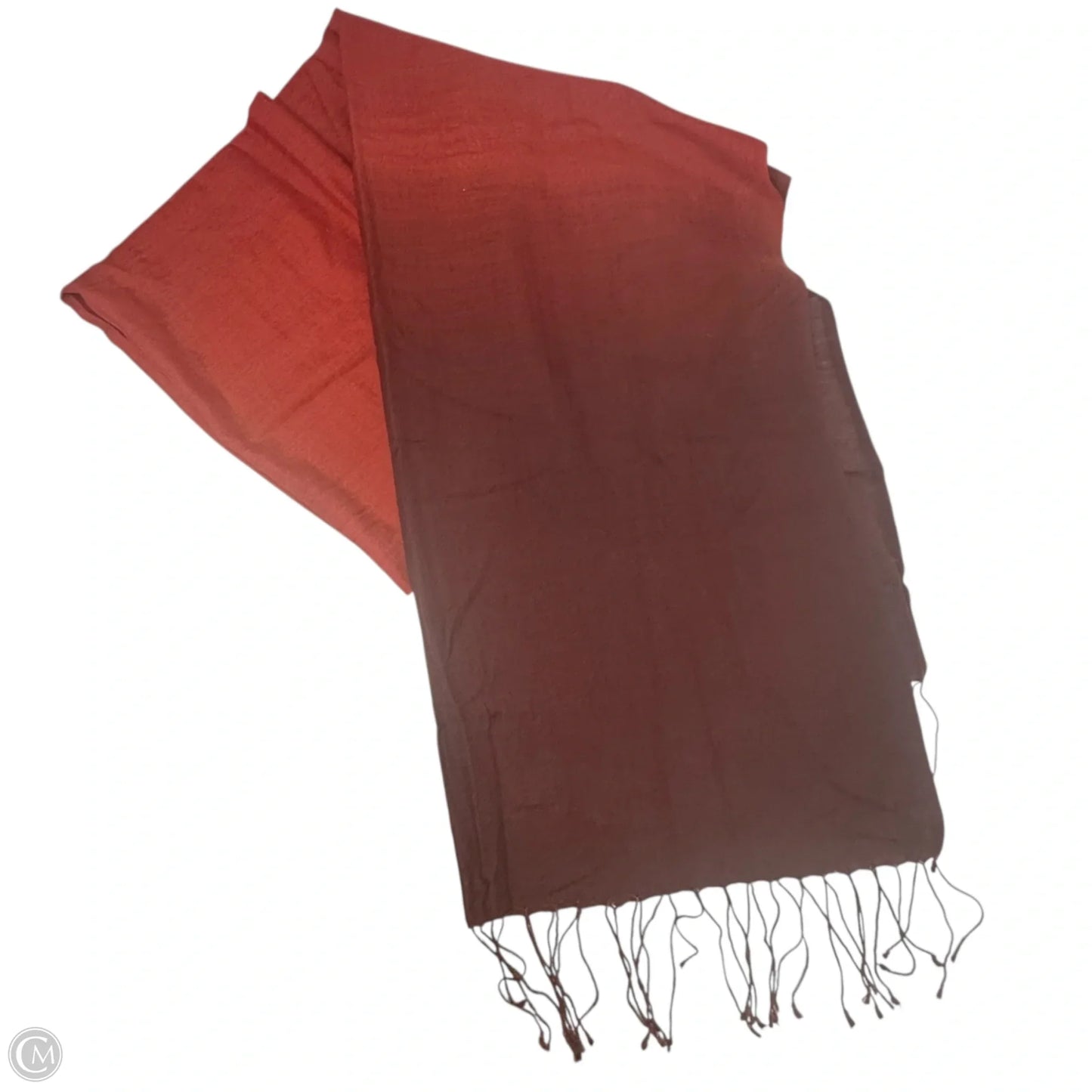 Ombre Wool Silk Scarf Long By Eileen Fisher