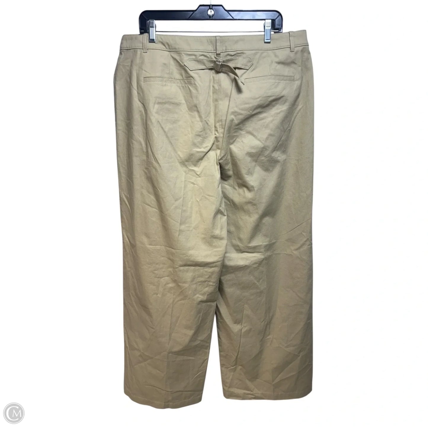 Pants Other By J. Crew In Tan, Size: 16