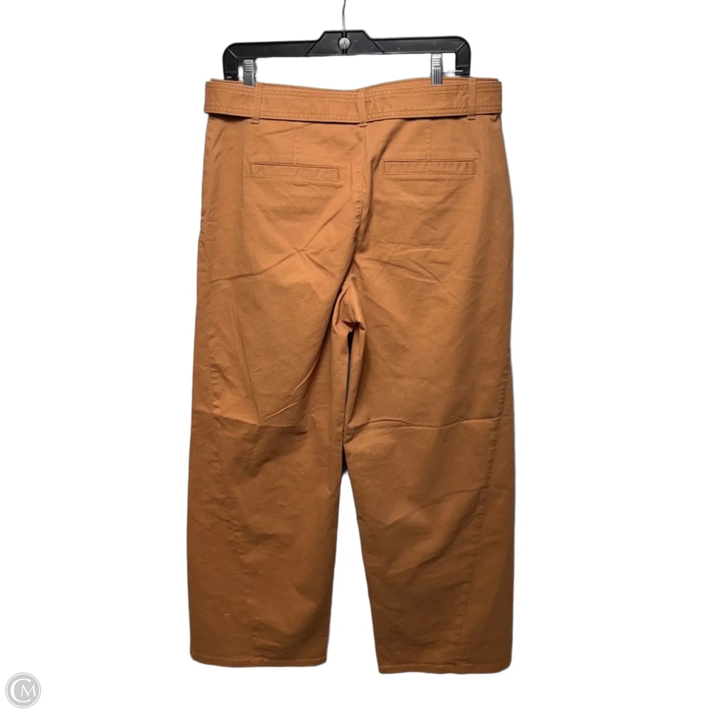 Pants Wide Leg By Loft In Brown, Size: 10