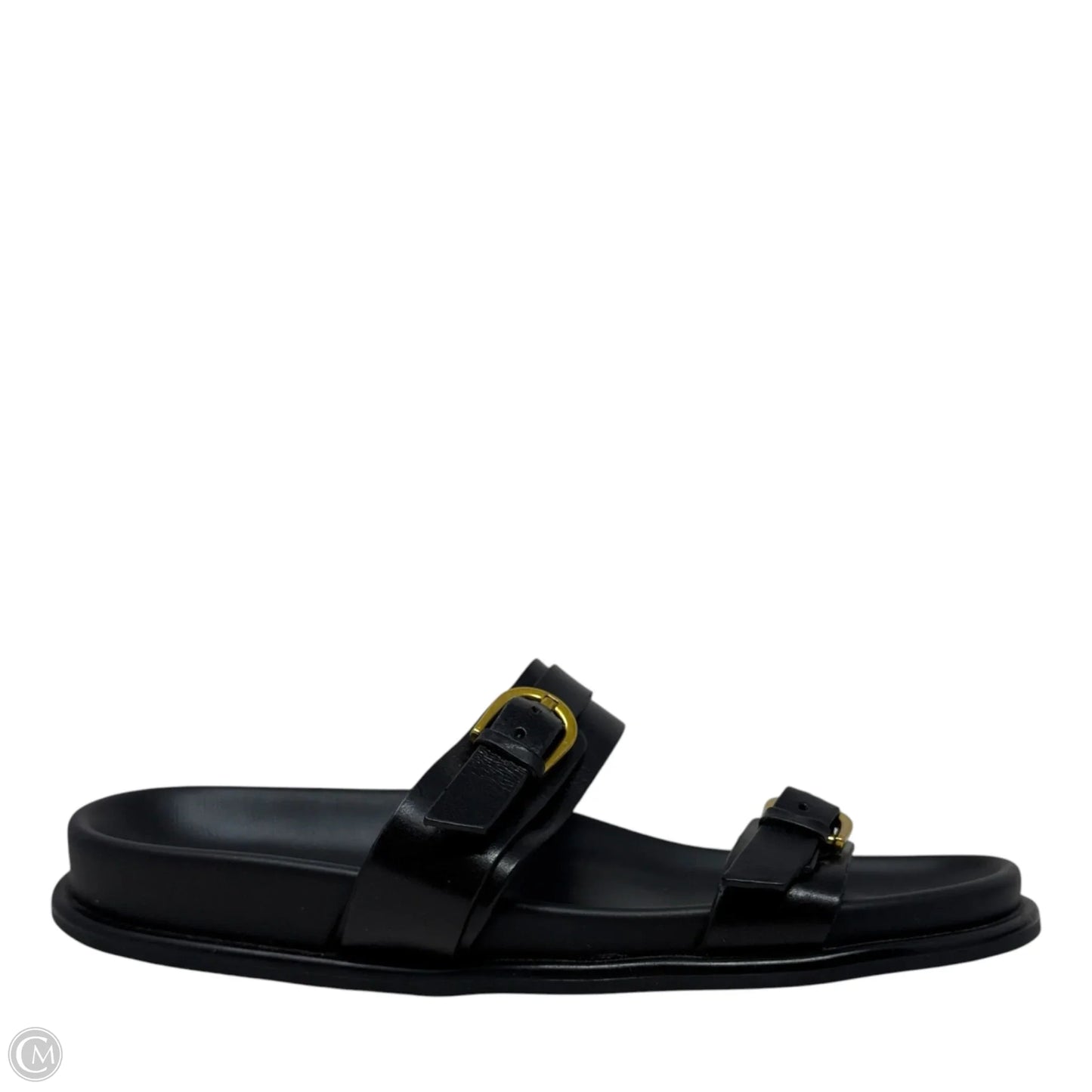 Zina Slide Sandals By Steve Madden In Black, Size: 8.5