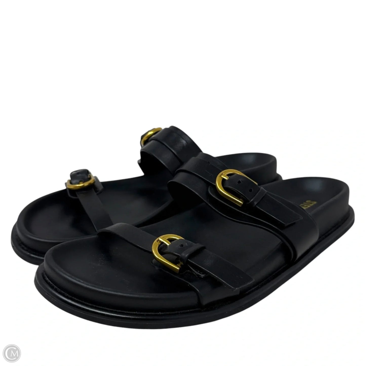 Zina Slide Sandals By Steve Madden In Black, Size: 8.5