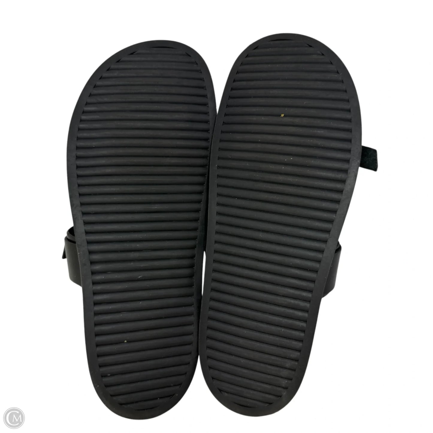 Zina Slide Sandals By Steve Madden In Black, Size: 8.5