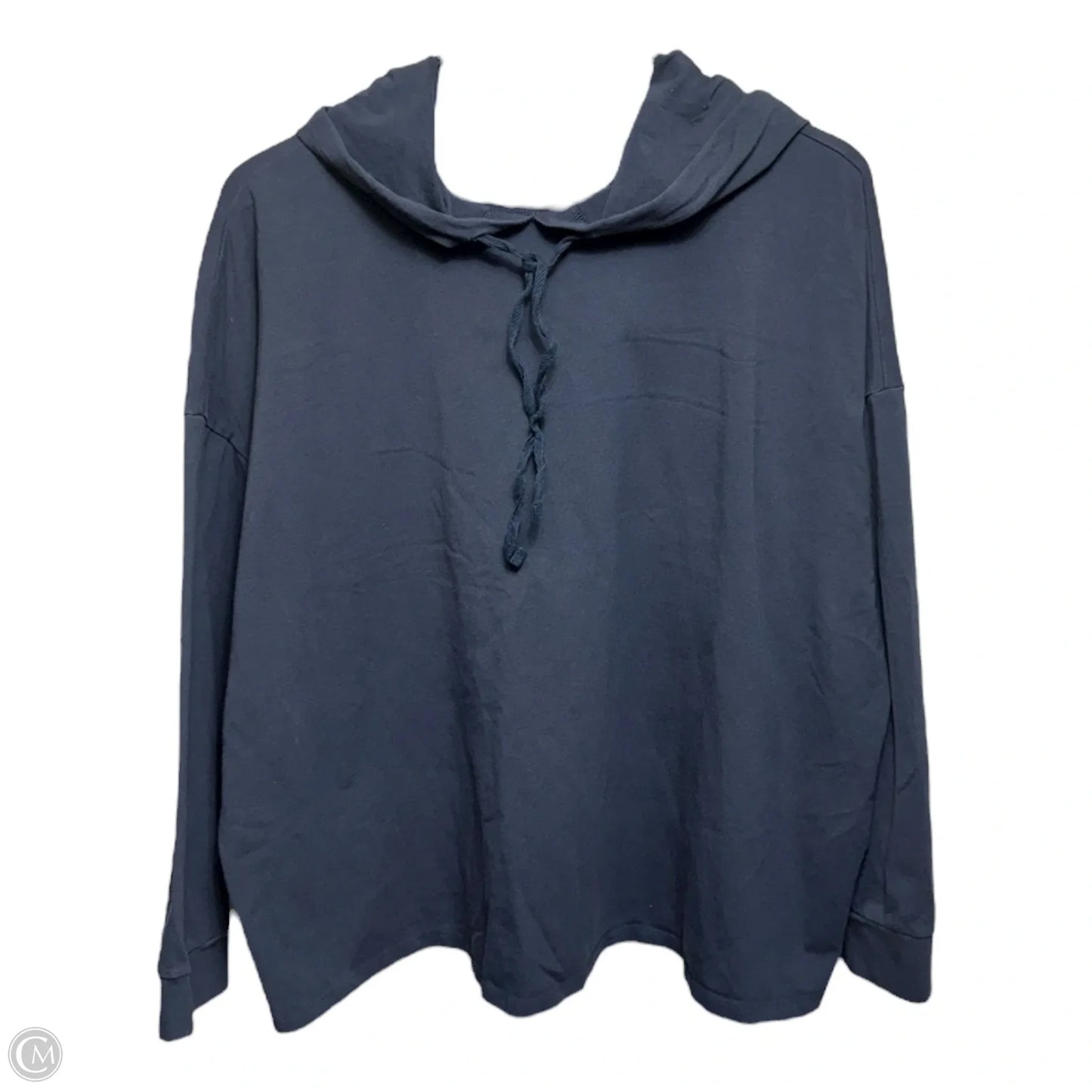 Sweatshirt Hoodie By Eileen Fisher In Navy, Size: Xl