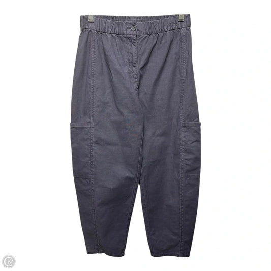 Pants Cargo & Utility By Eileen Fisher In Navy, Size: Sp - PP/PTP