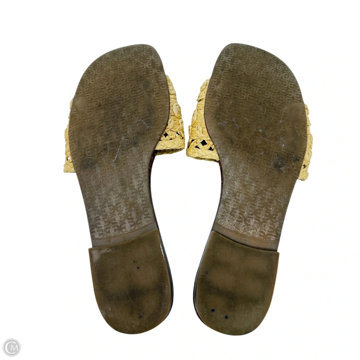 Backer Raffia Slide Sandals By Sam Edelman In Tan, Size: 8