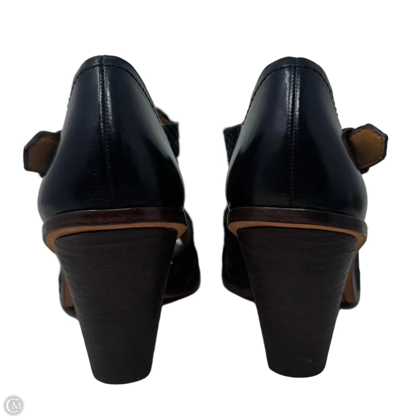 Ginger Shoes Heels Block By Trask In Black, Size: 8.5