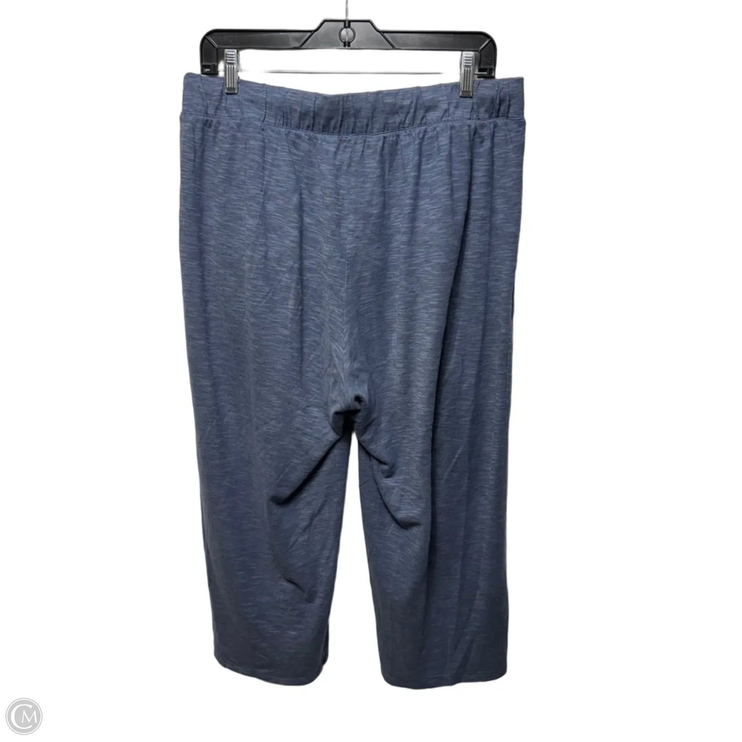 Pants Cropped By Garnet Hill In Blue, Size: L