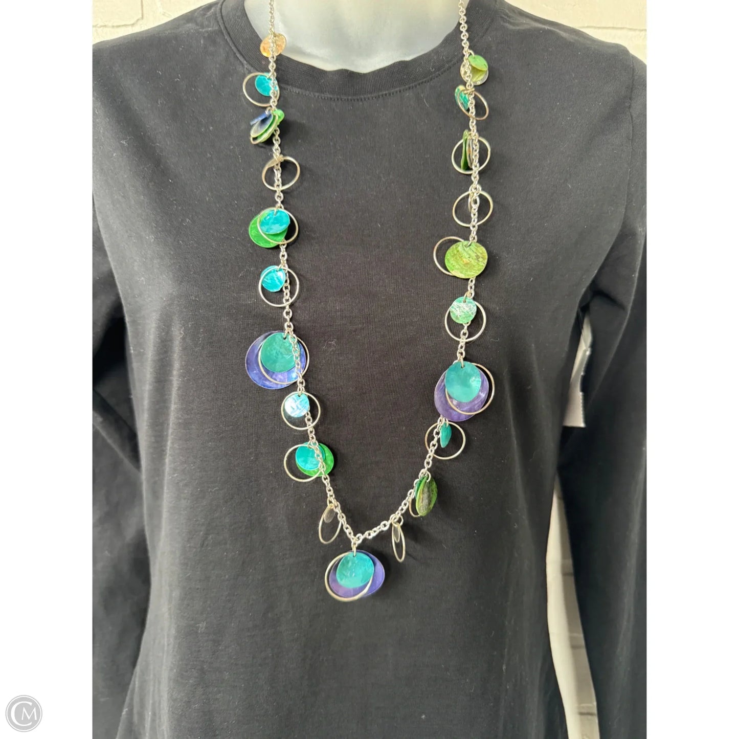 Necklace Chain By Clothes Mentor