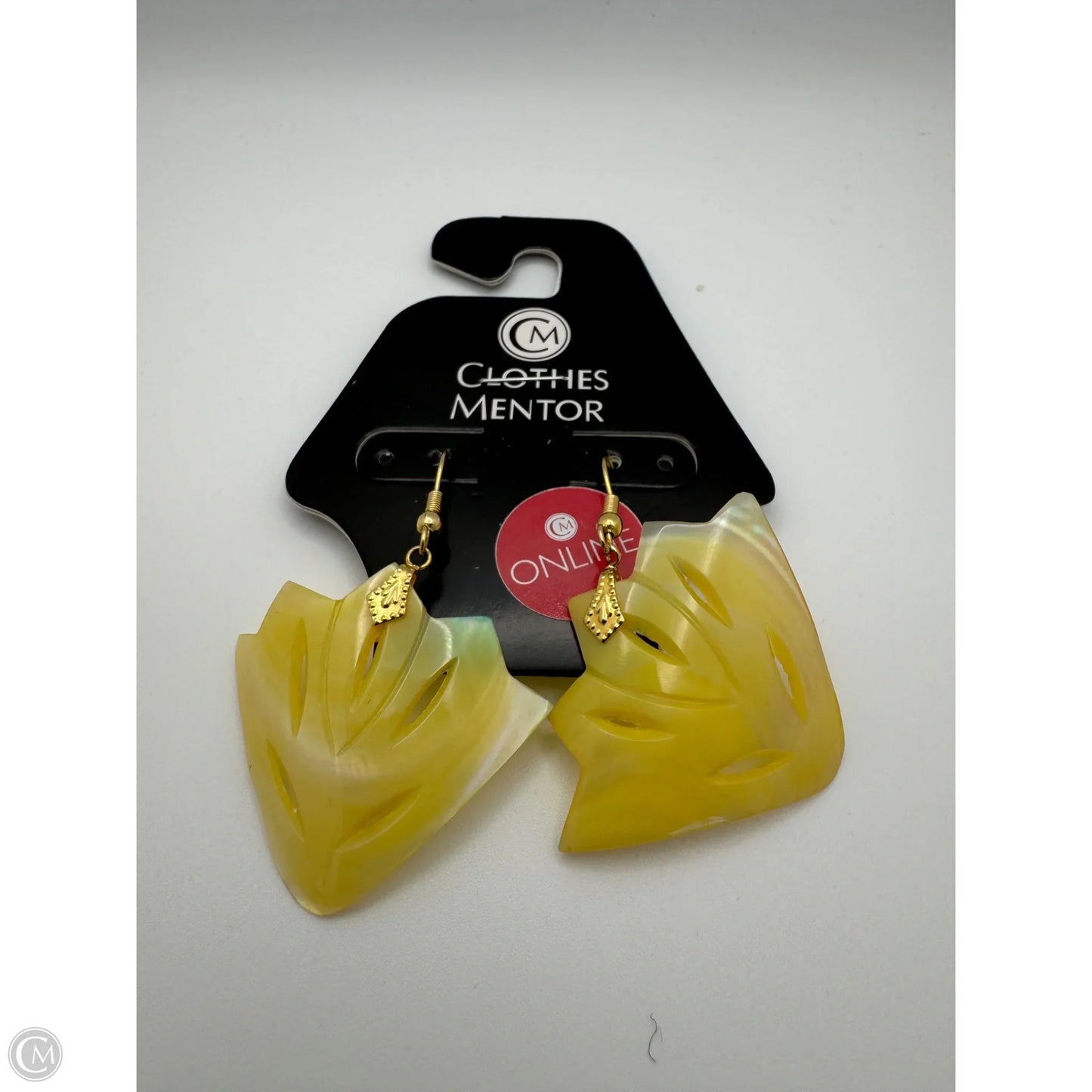 Earrings Dangle/drop By Clothes Mentor