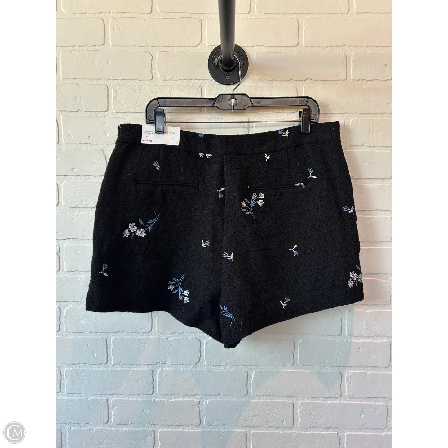 Shorts By Ann Taylor In Black & Blue, Size: 14