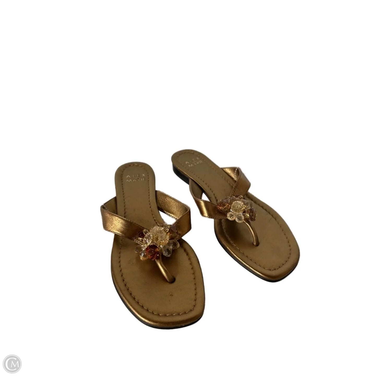 Sandals Flip Flops By Alex Marie In Gold, Size: 6